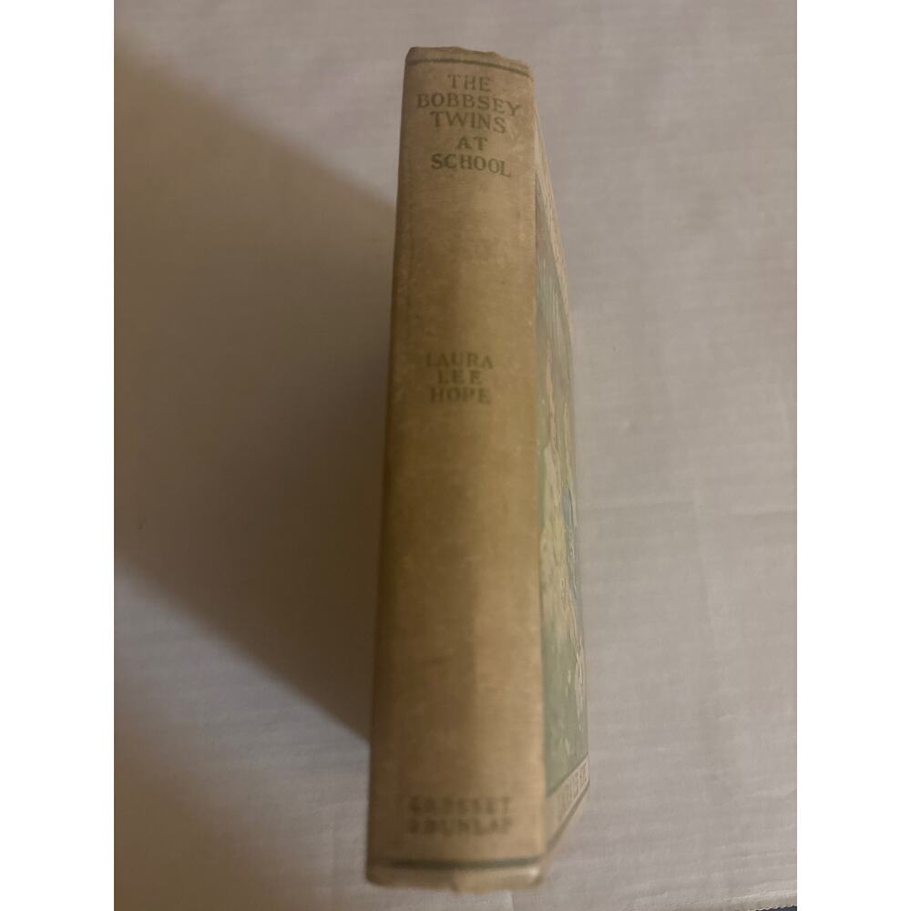 The Bobbsey Twins at School #4 Illustrated 1913 Story Grosset & Dunlap Books - Picture 5 of 14